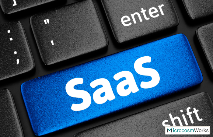 Things You Should Know About SaaS Application Development Services