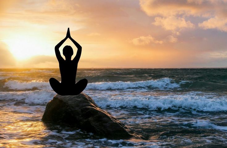 wellness