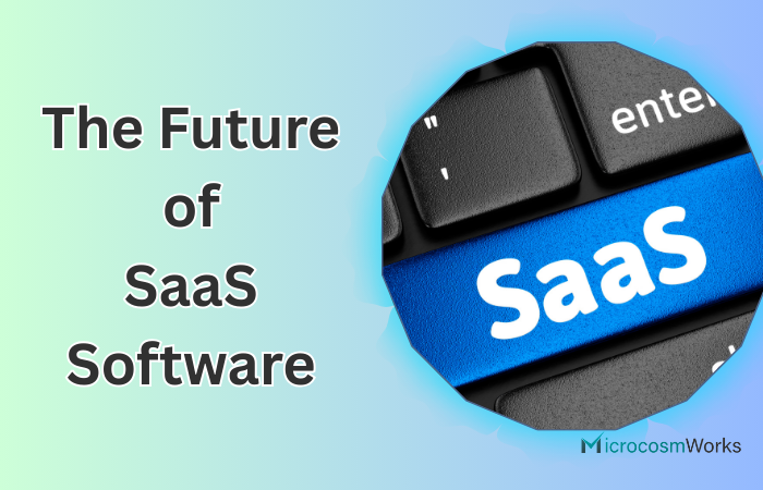 The Future of SaaS Software