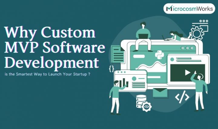 Why Custom MVP Software Development is the Smartest Way to Launch Your Startup